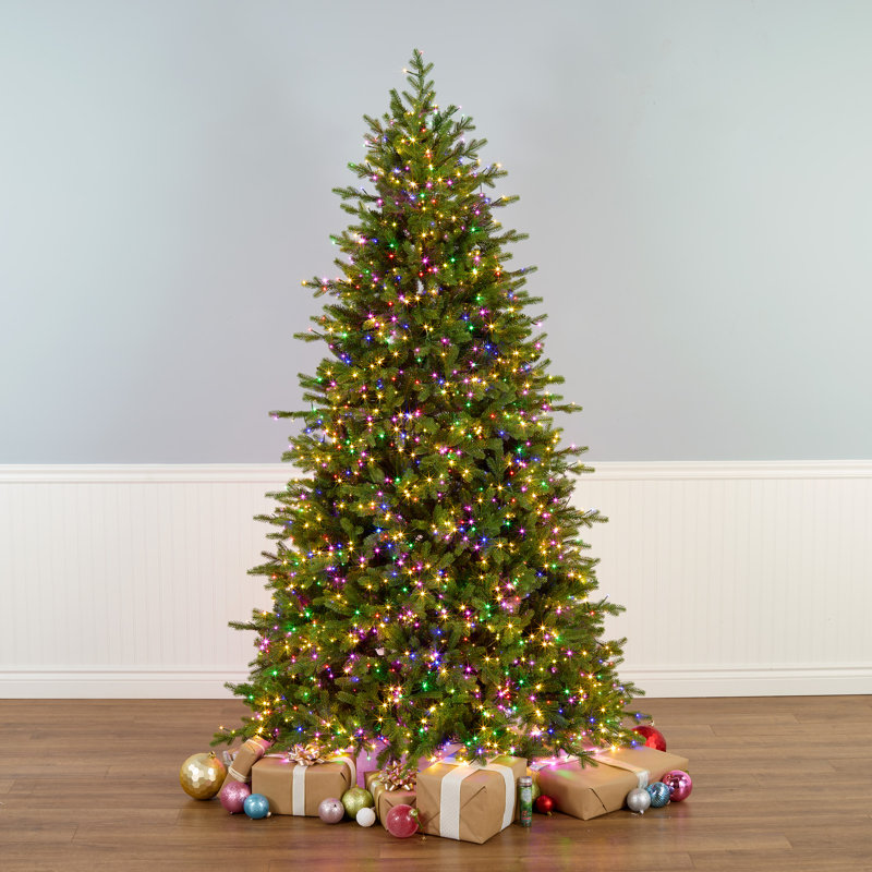 Le Holiday Aisle® 7,5 pi. Sapin avec lumières DEL Princeton Fraser