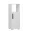 Lisamaria 96.6cm Kitchen Pantry