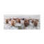 "Highland Herd" Photograph Print on Planked Wood Wall Art