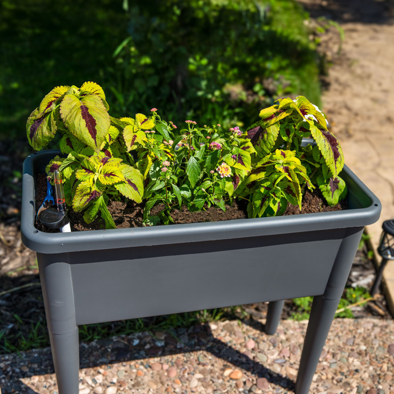 Lit de jardin surélevé en plastique avec couvercle Artrip - gris