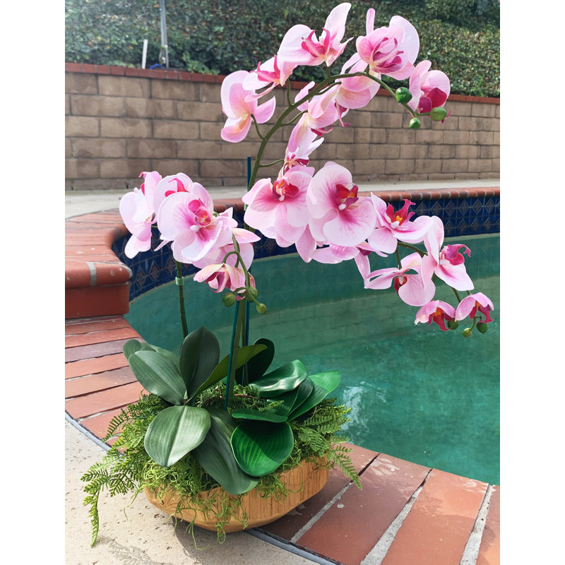 Orchidées florales, H 26 po x l 12 po x P 12 po, Rose