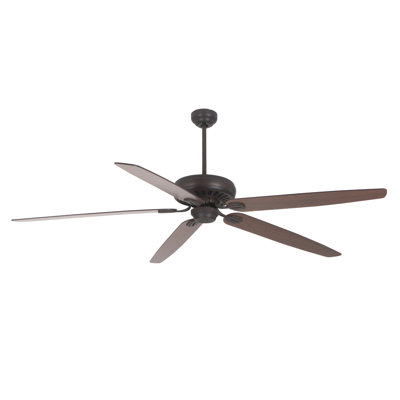 Asmus Ceiling Fan