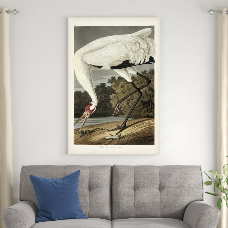 " Pl 226 Hooping Crane " by James Audubon Painting Print, 48" H x 32" W