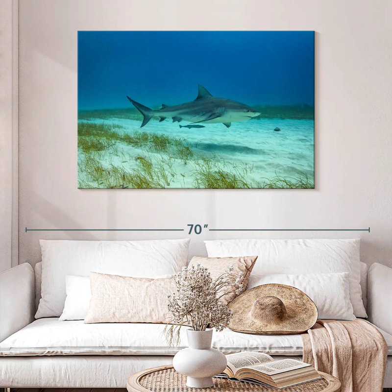 Crowle Bull Shark Habitat, 32" H x 48" W
