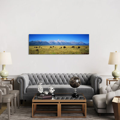 Field Of Bison With Mountains In BackgroundGrand Teton National Park, Wyoming, USA by Panoramic Images - Panoramic Gallery-Wrapped Canvas Giclée on Canvas