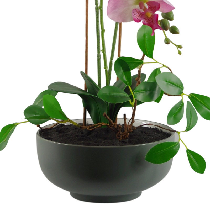 Anari 65cm Faux Tree in Ceramic Planter