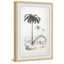 The Arecaceae - Single Picture Frame Painting-1044780988