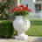 Roselmont Classic Traditional MGO Scalloped Urn Planter with Pedestal Base and Weather-Resistant Finish