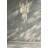 Aliha 25 - Light Cluster Pendant-1969406328