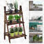 Mycroft Plant Stand