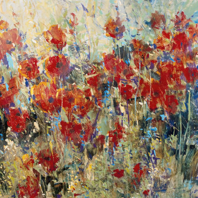 Champ de coquelicots rouges II