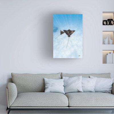 Bolog Max Blakesberg Studios Eagle Ray Duo Canvas Wall Art
