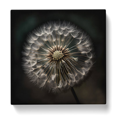 Dandelion Photograph - Print