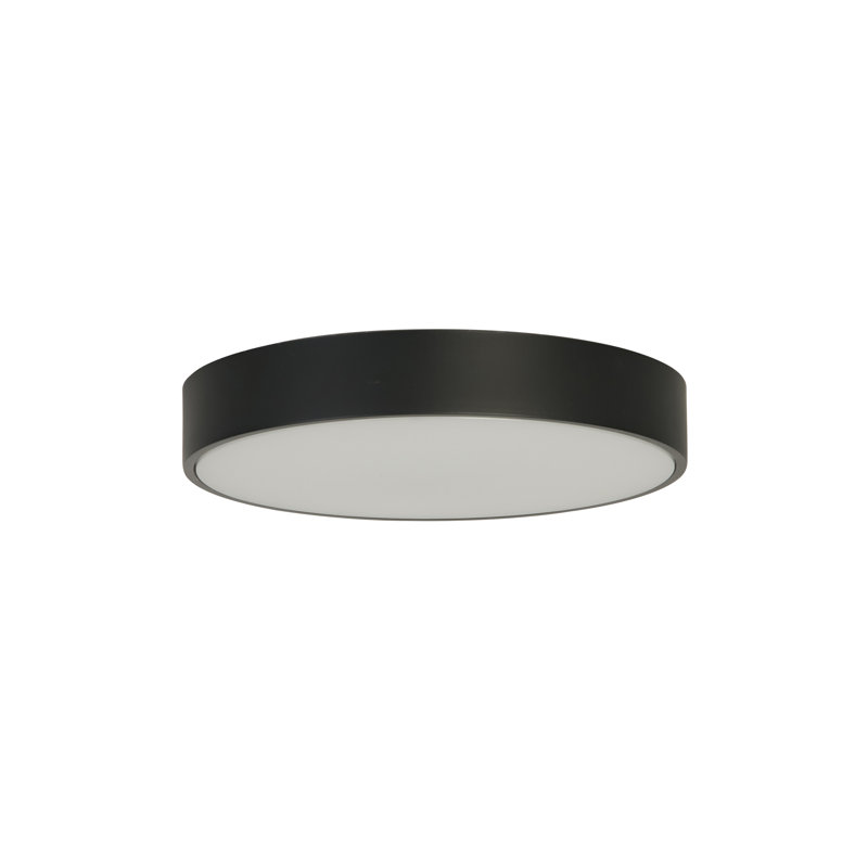 Akansha Plastic LED Flush Mount, Black