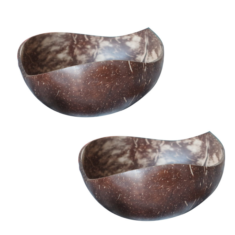 Bay Isle Home Mundubbera Coconut Shell Serving Bowl