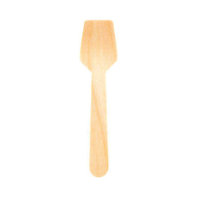 Eco Luxe Square Tasting Wood Disposable Spoons