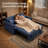 55'' Leather Small Loveseat Pull-out Sofa Bed - Adjustable Backrest With 2 Soft Pillows-1573153942