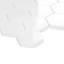 Thassos 2" Hexagon Polished Marble Mosaic Tile