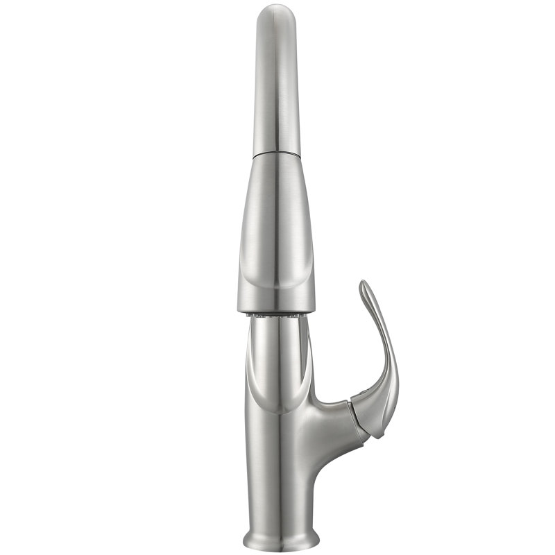 Brushed Nickel Pull-Down Kitchen Faucet with Single Handle