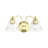 Deshaunda 2 - Light Dimmable Vanity Light-887119513