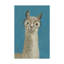 « llama spec iii », peinture sur toile tendue-548972061