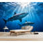 Papier peint auto-adhésif Great White Sharks-131634006