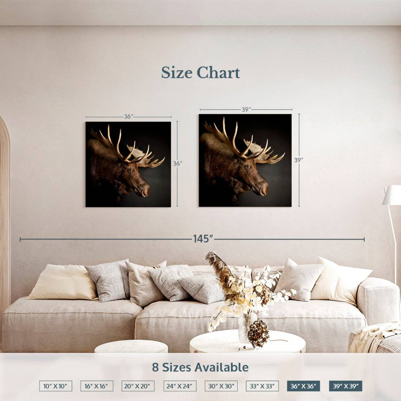 Brampt Antlered Moose, 36" H x 36" W