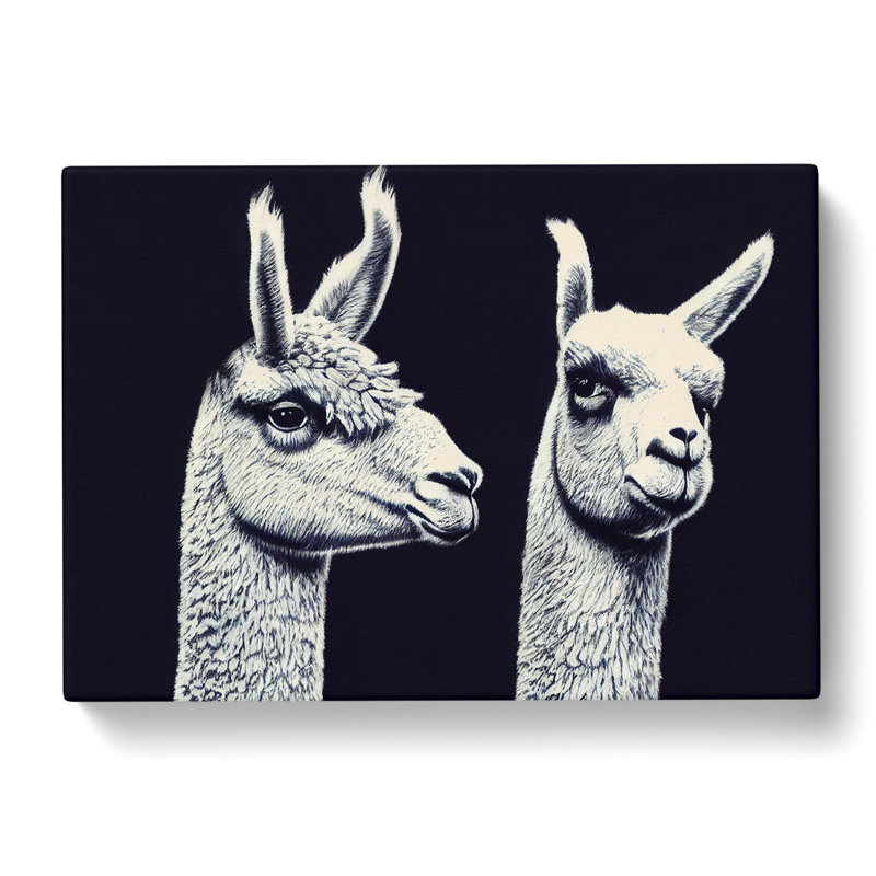 Two Llamas Vol.4 - Wrapped Canvas, 35cm H x 50cm W x 3cm D