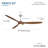 Pierce 65" Led Smart Ceiling Fan-116794810-116794813