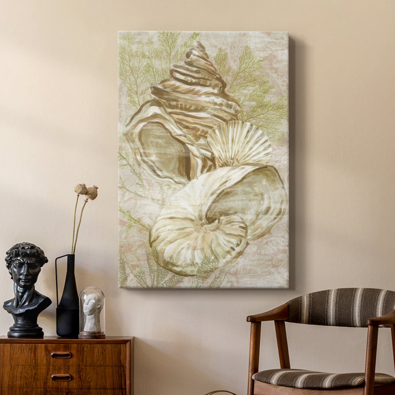 Collage antique de coquillages pêche I - galerie Cavas sur mesure, H 12 po x l 8 po