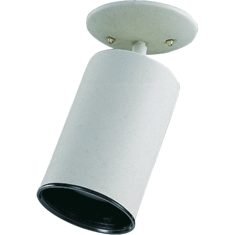 Symple Stuff Spot Light, (1) 60W medium base bulb, White