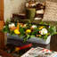 Arrangement floral de centre de table d’été en métal galvanisé « Lemon », « Real Touch » Magnolia & Buwood