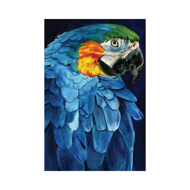 Blue Macaw by Rachel Parker - Wrapped Canvas Gallery-Wrapped Canvas Giclée, 20.32 cm H x 30.48 cm W
