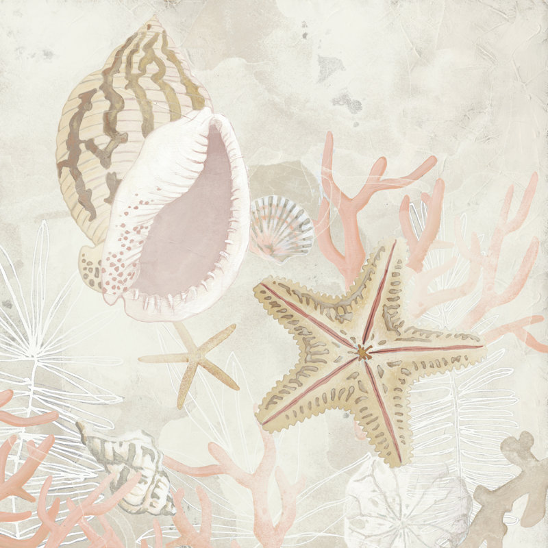 Shell Collector Fresco II by June Erica Vess - Wrapped Canvas Painting, 122cm H x 122cm W