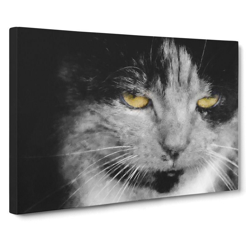Portrait Of A Cat Vol.4 - Wrapped Canvas Print, 35cm H x 50cm W x 3cm D