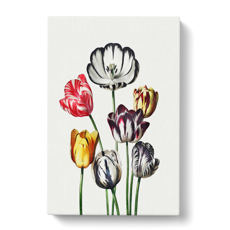 Tulips by R.J. Thornton - Wrapped Canvas Painting, 50cm H x 35cm W