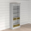 Knowles 198 cm H x 86 cm W Standard Bookcase