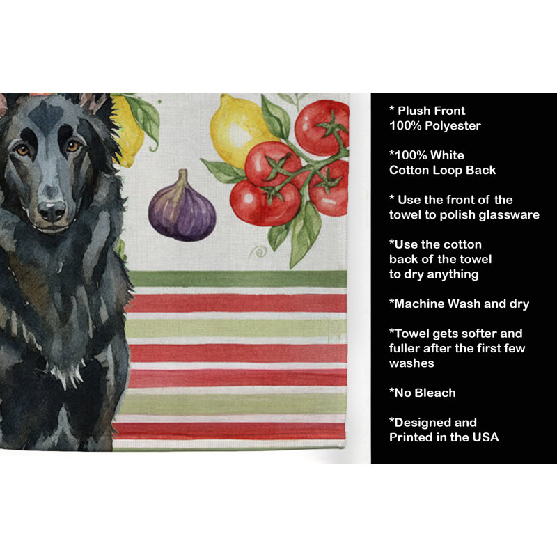 Torchon Belge, Belgian Sheepdog Groenendael