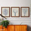 Indigo Coral I - ensemble de 3 peintures sur toile encadrées-1376539727-1376539720