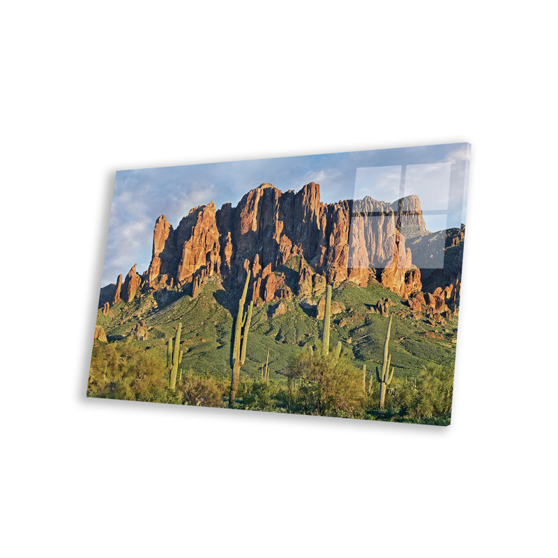 Ibrauheem Saguaro, cactus et montagnes de la Superstition, parc national Dutch Dutchman, Arizona II sur plastique / acrylique par Tim Fitzharris, impression