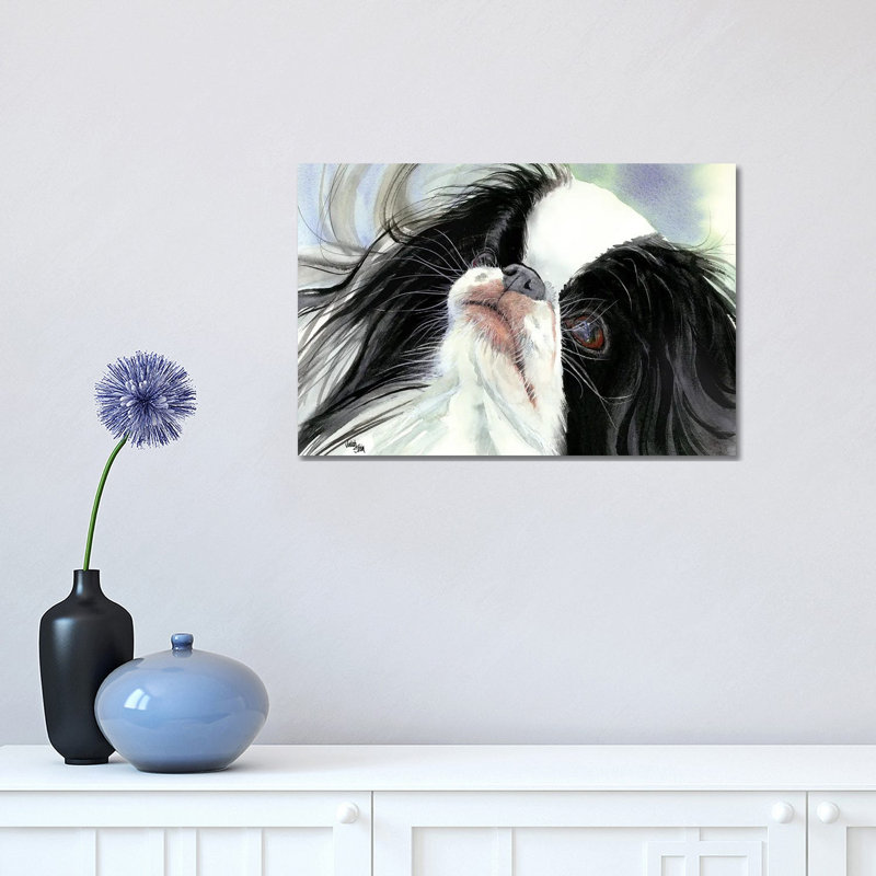 Chin Spin - Japanese Chin by Judith Stein - Wrapped Canvas Print, 30.48 cm H x 45.72 cm W