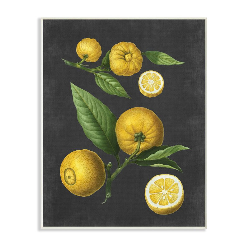 «Botanical Dessin Lemons On Black Design», impression, H 15 po x l 10 po, Plaque murale
