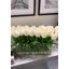 Tulip Stems in Vase-1883493160