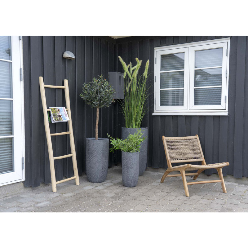 Converse 5 - Step Wood Lightweight Small Step Ladder