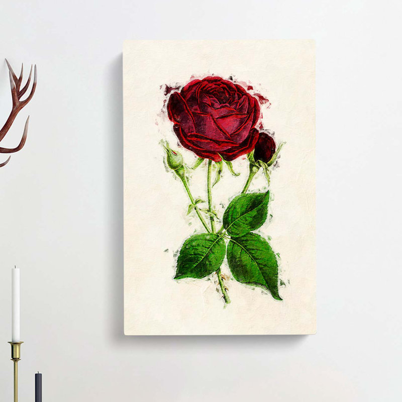 Illustration of a Red Prince Noir Rose - Wrapped Canvas, 50cm H x 35cm W x 3cm D