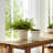 Stoneware Planter Set With Sculpted Rim And Vertical Ridged Texture, Decorative Fluted Detailing And Glossed Ceramic Body For Display And Accent Decor, Set Of 2
