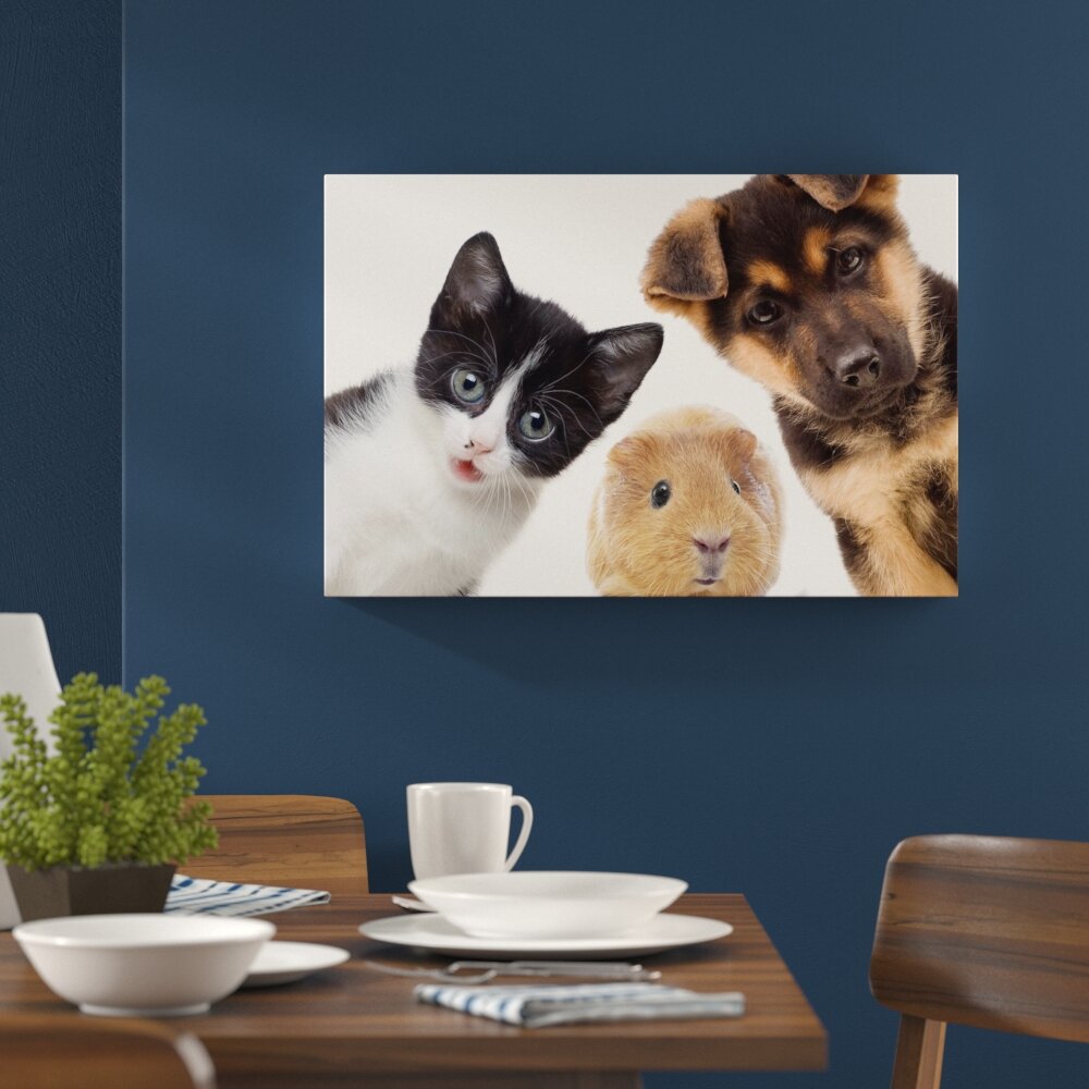 Leinwandbild ,,Lustiges Trio Hund Katze Meerschwein", Fotodruck