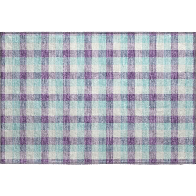 Premium Machine Washable Crumley AMF1053 Plaid Rug