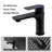 Black stainless steel faucet