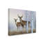 «Deer In Birch Woods» par Armstrong, impression sur toile tendue-27653196